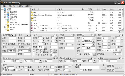 Bulk Rename Utility - 功能强大的重命名工具 1