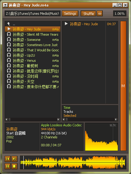 Hokrain - 轻量级音乐播放器 1