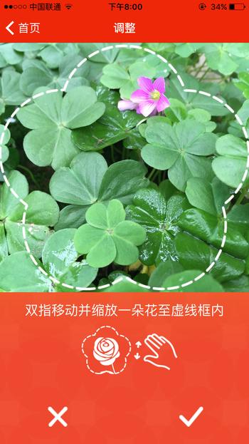 微软识花 – 告诉我你是什么花[iOS] 2