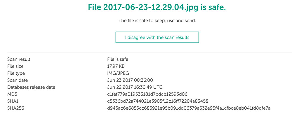 Kaspersky VirusDesk - 卡巴斯基「在线版」文件与网页杀毒服务 2