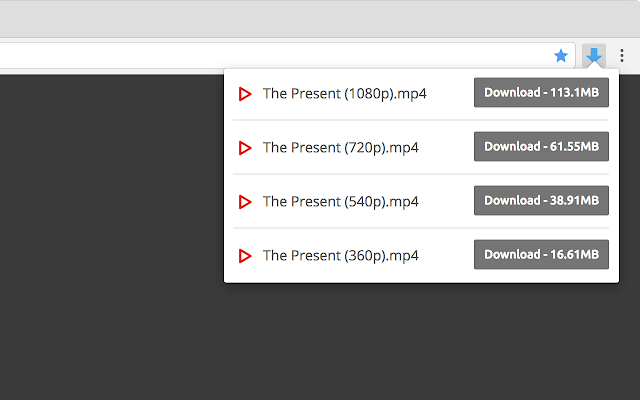 Video Downloader professional - 网页视频下载工具 [Chrome] 1