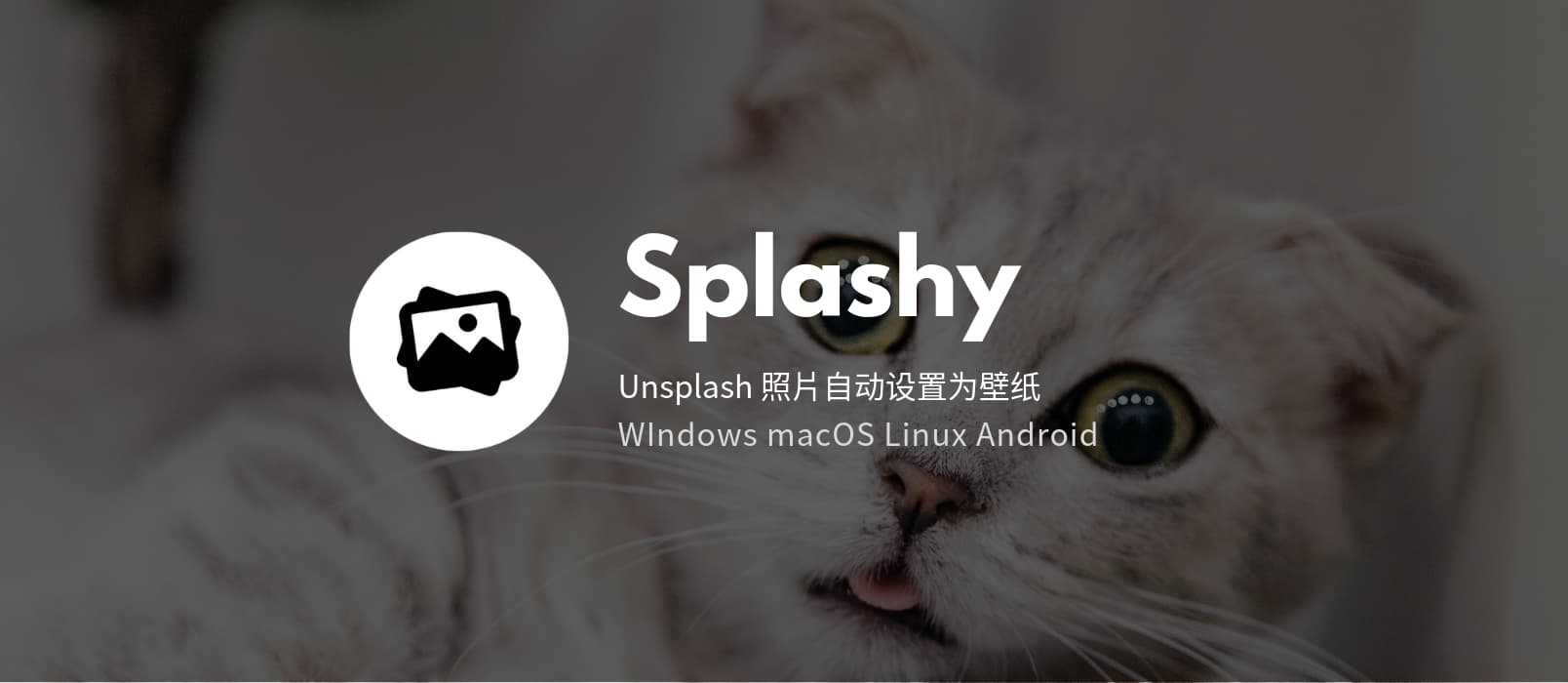 Splashy - 跨平台自动更换 Unsplash 壁纸，极简应用 1