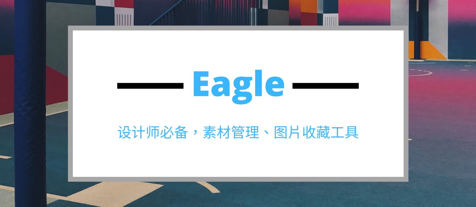 [双11]设计师必备，素材管理、图片收藏工具：Eagle 1