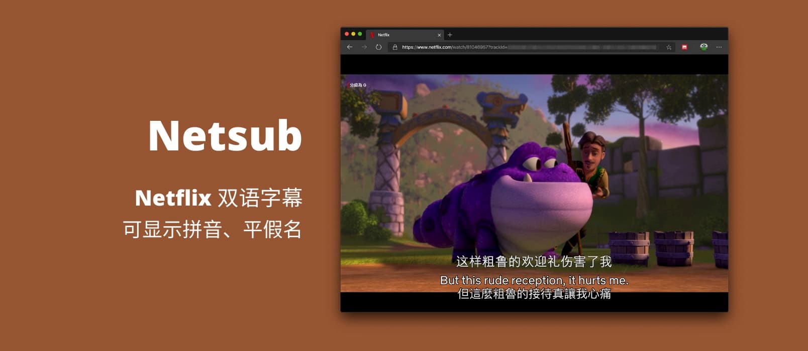 Netsub - 为 Netflix 显示双语字幕，并可显示拼音、平假名用来学习中文、日语[Chrome/Edge] 1