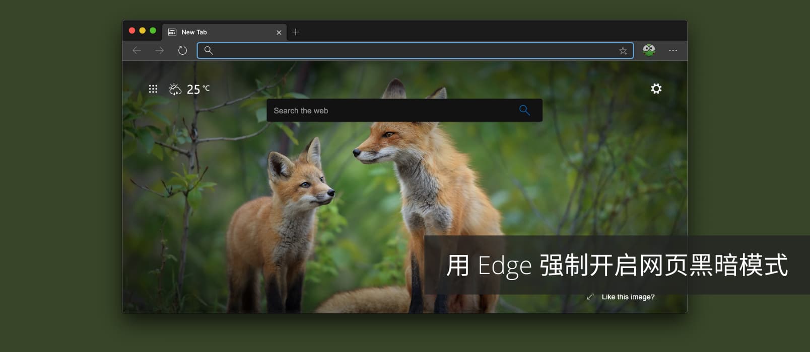 在 Chrome/Edge，强制为网页开启深色主题模式 1