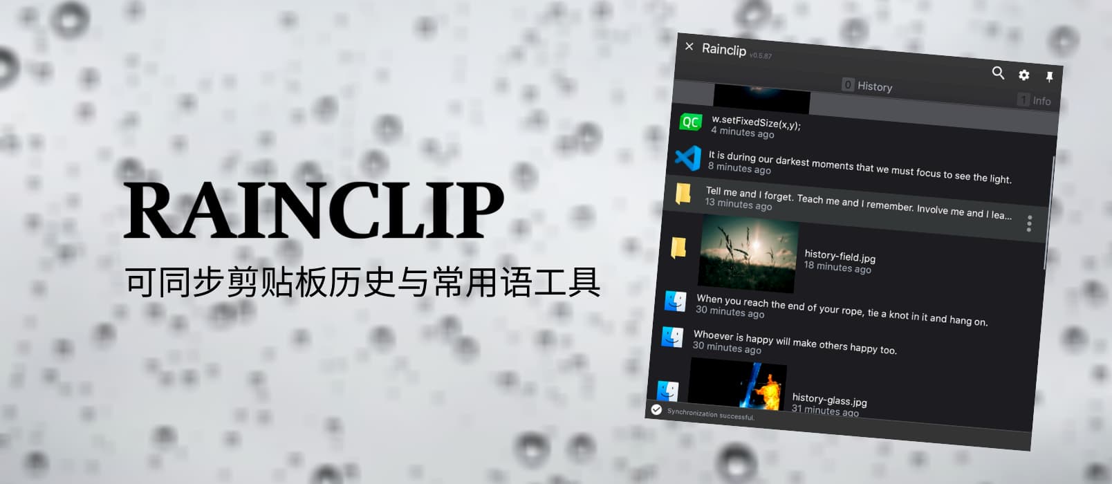 Rainclip - 一个简单的可同步剪贴板历史与常用语工具[Win/macOS] 1