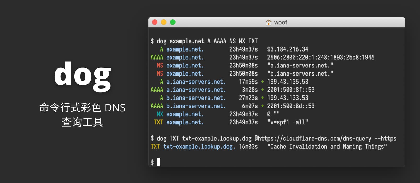 dog - 一个简单的彩色命令行 DNS 查询工具[Win/macOS/Linux]
