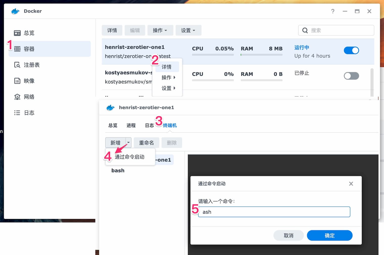 群晖 DSM 7 安装 Zerotier 教程，进行内网穿，透组建局域网 5