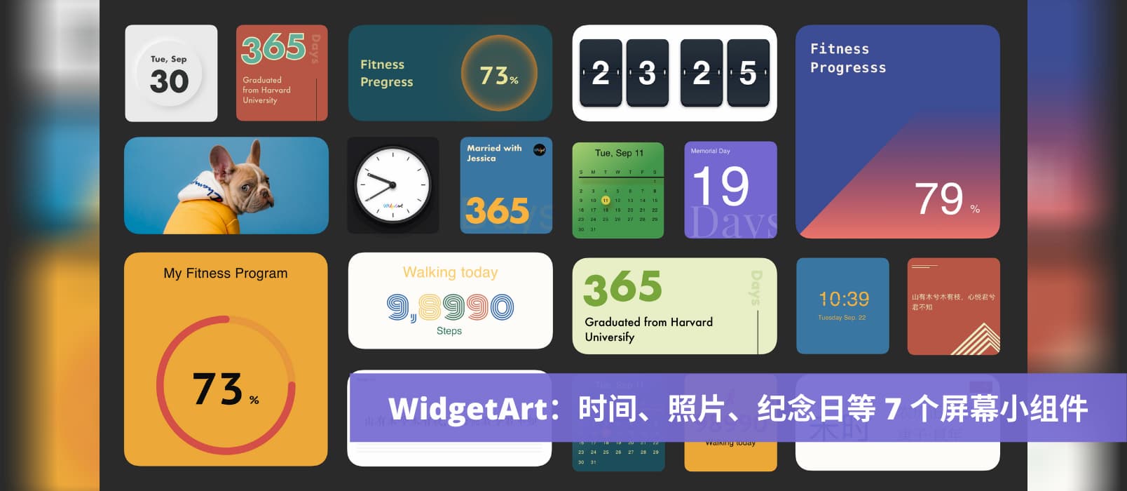 WidgetArt - 时间、照片、纪念日、步数等 7 个漂亮的屏幕小组件[iOS]