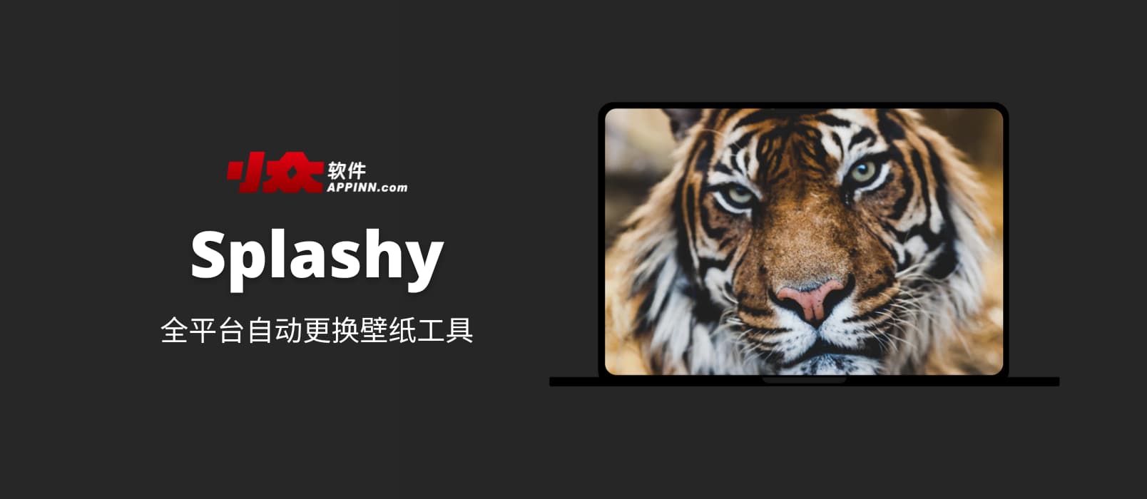 Splashy - 数千张精选壁纸，全平台自动更换壁纸工具，支持 Linux