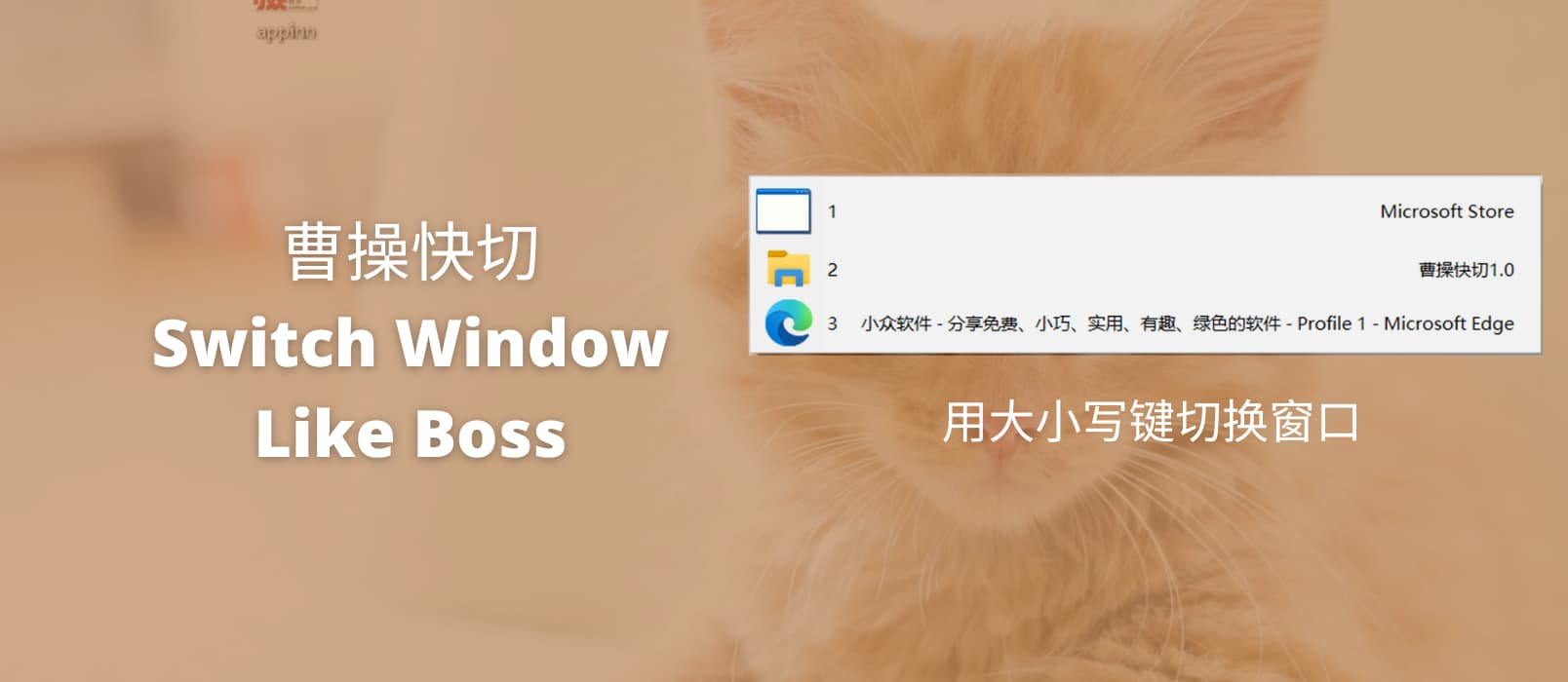 曹操快切（Switch Window Like Boss）- 用大小写键切换窗口：反正很快[Windows]