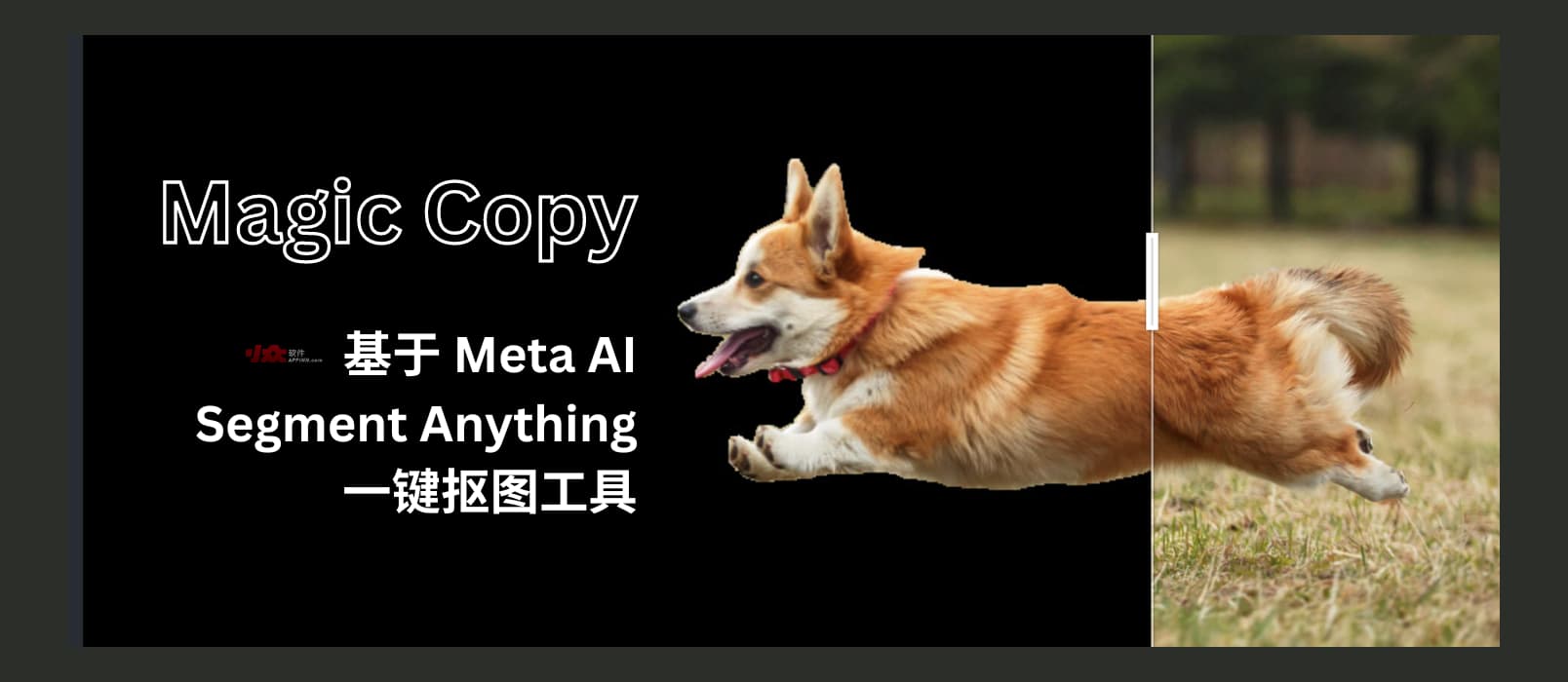 Magic Copy - 在浏览器中一键抠图，基于 Meta AI 的 Segment Anything 模型[Chrome/Firefox]