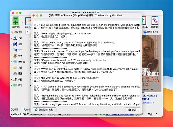 Ebook Translator - 用 Google、ChatGPT 和 DeepL 翻译整本电子书[Calibre 插件] 3