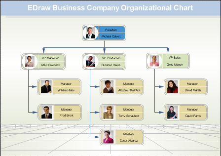 EDraw Mind Map